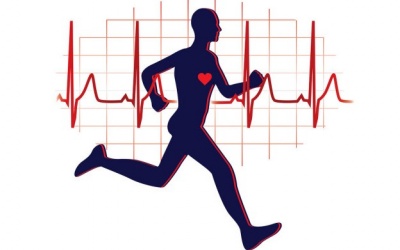 Những bài tập thể dục tốt cho sức khỏe tim mạch