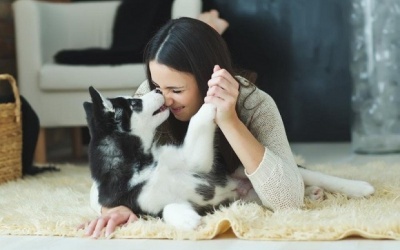 Tử vi tuần mới (4 - 10/9/2017) với 12 cung hoàng đạo