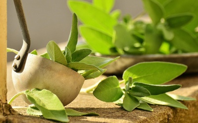 9 phương pháp điều trị tự nhiên cho bệnh nhân giang mai