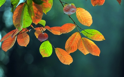 Bắc Bộ mát mẻ, Trung Bộ nắng nóng trong 2 ngày cuối tuần