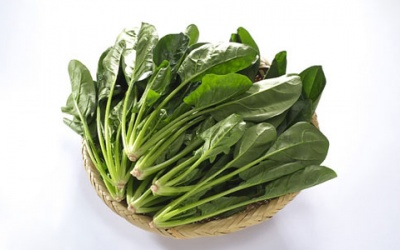 Tác dụng thần kỳ từ cải bó xôi