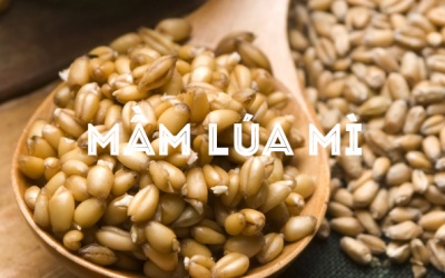 Mầm lúa mì bổ dưỡng tới mức nào?