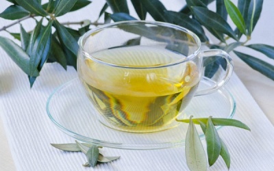 Uống trà lá olive: Ngừa ung thư, tăng miễn dịch
