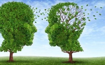 Có thể phòng ngừa bệnh Alzheimer được không?