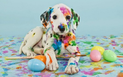 Tử vi tuần mới (25/9 - 1/10/2017) với 12 cung hoàng đạo