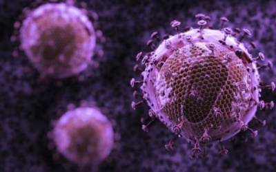 Mỹ: Phát hiện ra siêu kháng thể tấn công đến 99% các chủng virus HIV