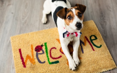 Tử vi 12 cung hoàng đạo thứ Tư (27/9/2017)