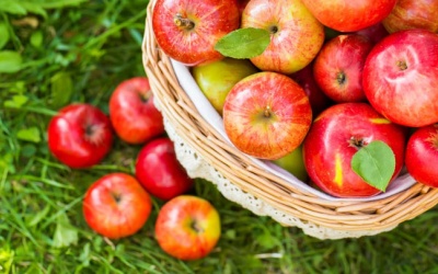 Nhận diện 37 loại táo phổ biến nhất trên thế giới
