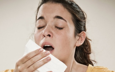 4 hợp chất kháng histamin tự nhiên tốt cho người hay bị dị ứng