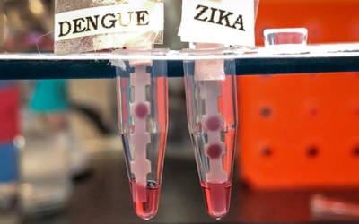 Sắp có que thử phát hiện Zika, sốt xuất huyết nhanh và rẻ
