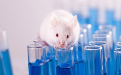 Liệu pháp tế bào gốc giúp phục hồi tủy sống?