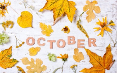 Tử vi 12 cung hoàng đạo tháng 10/2017