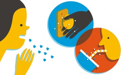 Vi khuẩn gây bệnh có thể lây lan qua những con đường nào?