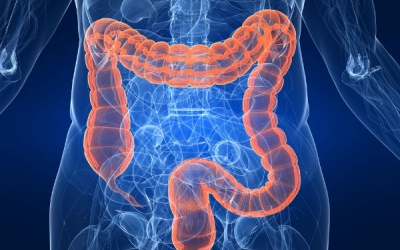 Ăn gì để phòng ngừa ung thư ruột già?