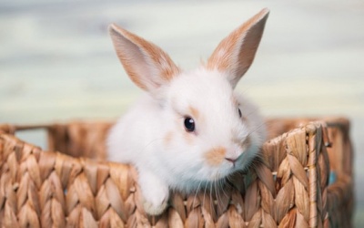 Tử vi 12 cung hoàng đạo thứ Sáu (13/10/2017)