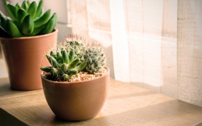 Tử vi 12 cung hoàng đạo thứ Ba (17/10/2017)