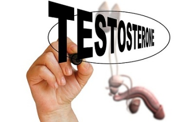 Ngoài tinh hoàn, cơ quan nào cũng chịu trách nhiệm sản xuất testosterone?