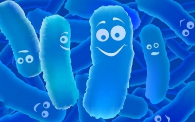 Hướng dẫn bổ sung probiotics, lợi khuẩn cho cơ thể