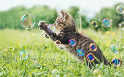 Tử vi 12 cung hoàng đạo thứ Bảy (21/10/2017)