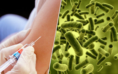 Bổ sung probiotics sau khi tiêm vaccine cúm giúp phòng bệnh hiệu quả hơn