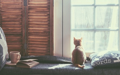 Tử vi 12 cung hoàng đạo Chủ nhật (22/10/2017)