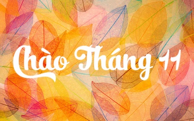 Tử vi 12 cung hoàng đạo tháng 11/2017