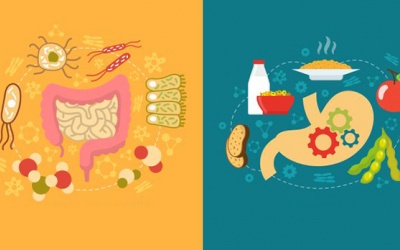 7 loại thực phẩm phòng bệnh đường ruột, ung thư ruột