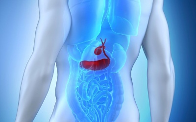 Viêm tụy mạn tính: Bệnh hiểm chưa có thuốc chữa