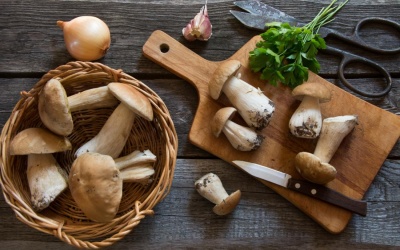 Nấm porcini (thông) giàu chất chống oxy hóa, cực tốt cho sức khỏe 