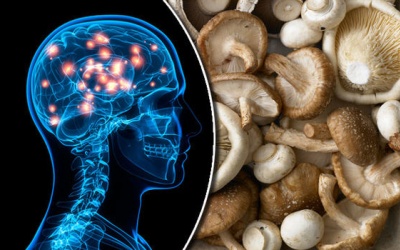 Ngăn ngừa lão hóa, giảm ung thư nhờ ăn nấm?