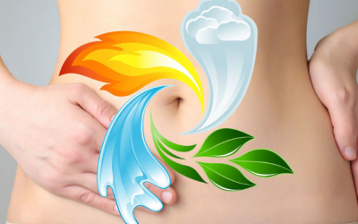 14 thực phẩm có lợi và có hại với hệ tiêu hóa