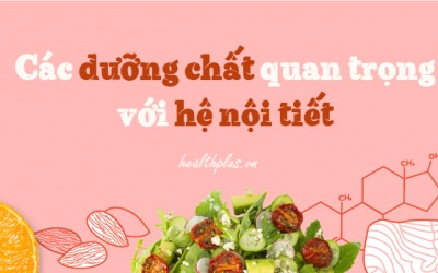Cần bổ sung dưỡng chất gì để các tuyến nội tiết hoạt động hiệu quả? 