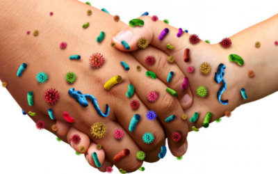 Cảm lạnh, cảm cúm và dị ứng: Khi nào thì nghỉ ốm, cách ly?