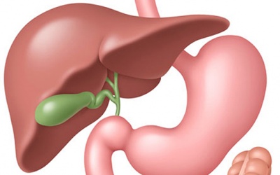 Nên ăn uống thế nào khi không còn túi mật?