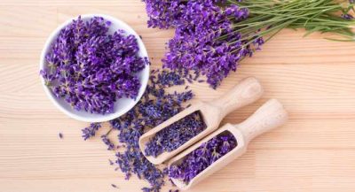 5 cách sử dụng oải hương khô để chăm sóc sức khỏe