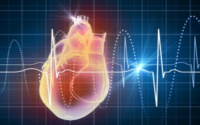 Một vài sự thật về rối loạn nhịp tim có thể bạn chưa biết