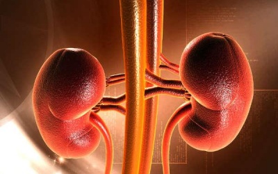 9 thói quen hàng ngày đang gây hại cho thận