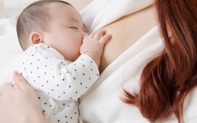 Tại sao trẻ sơ sinh lại ngủ trong khi đang bú?
