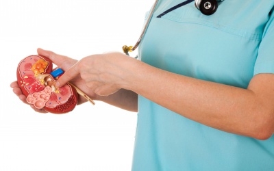 4 loại sỏi thận phổ biến nhất hiện nay bạn nên nắm rõ