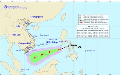 Biển Đông đón bão số 15