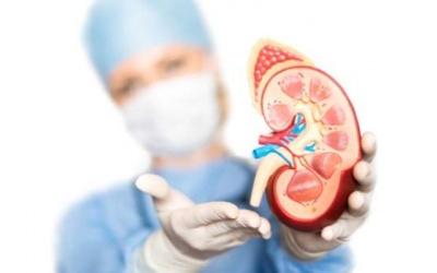 6 nguyên nhân gây ra sỏi thận mà ít ai ngờ tới