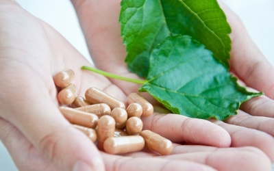 Giải pháp nào cho khung pháp lý trong quản lý TPCN tại Việt Nam