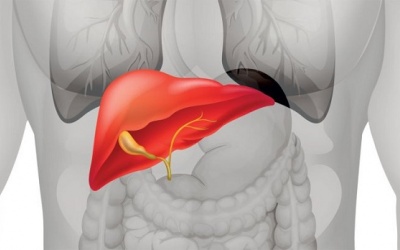 Những dấu hiệu cho thấy gan bị tổn thương