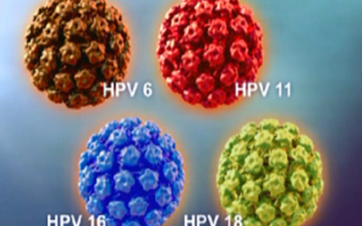 Nam giới chưa quan hệ 'chăn gối' cũng có thể nhiễm HPV?