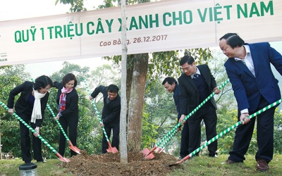 Hành trình đem cây xanh 'về nguồn' của Vinamilk