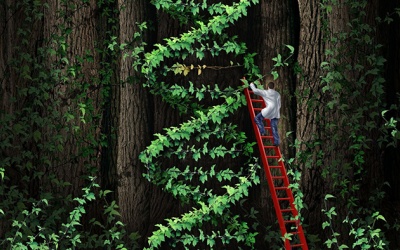 Ăn rau và trái cây nào tốt nhất cho DNA?