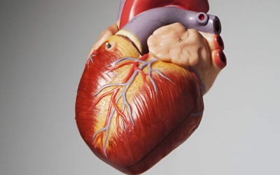 12 căn bệnh nguy hiểm có thể gây suy tim sung huyết
