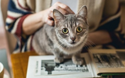 Tử vi 12 cung hoàng đạo thứ Bảy (13/1/2018)