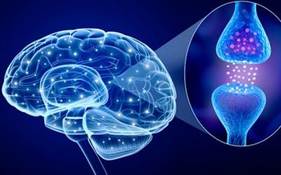 11 sự thật về bệnh Parkinson có thể bạn chưa biết