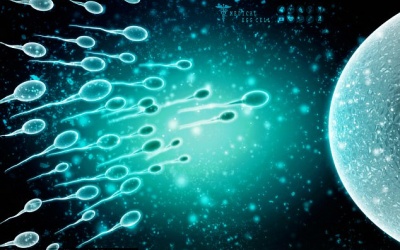 Nam giới lạm dụng thuốc giảm đau Ibuprofen có thể gây vô sinh?